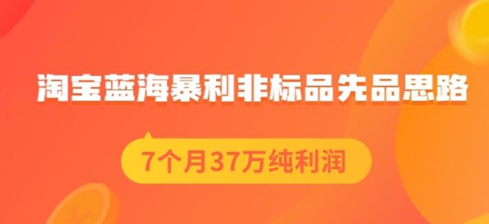 盗坤淘宝蓝海暴利非标品先品思路，7个月37万纯利润，压箱干货分享！【付费文章】-匹左网