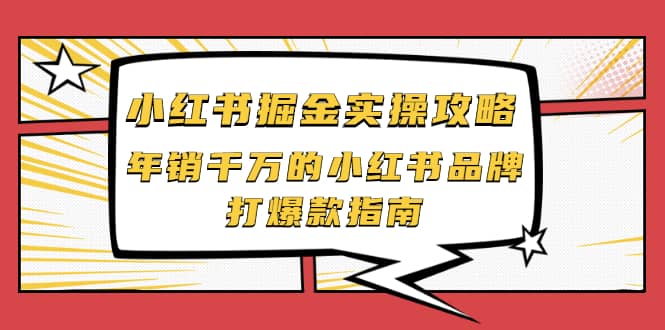 小红书掘金实操攻略，年销千万的小红书品牌打爆款指南-匹左网