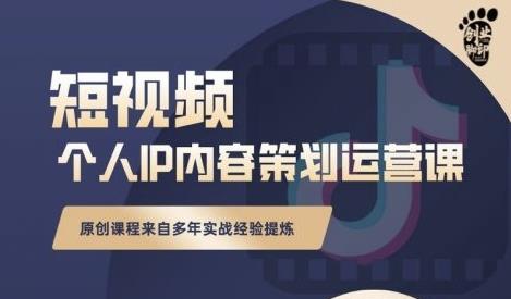 抖音短视频个人ip内容策划实操课，真正做到普通人也能实行落地-匹左网