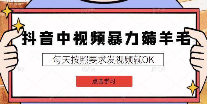 2022抖音中视频暴力薅羊毛白嫖项目：新号每天20块，老号几天几百块，可多号-匹左网