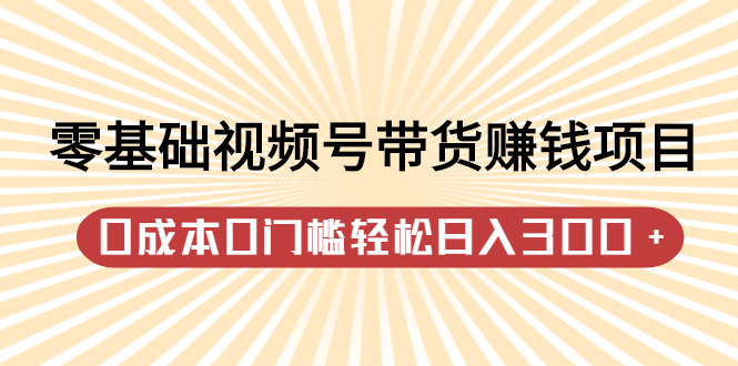 零基础视频号带货赚钱项目，0成本0门槛轻松日入300+【视频教程】-匹左网