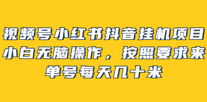 视频号小红书抖音挂机项目，小白无脑操作，按照要求来，单号每天几十米-匹左网