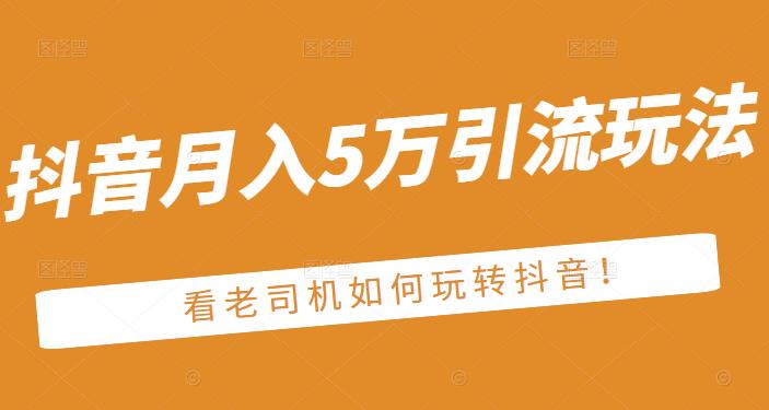 老古董·抖音月入5万引流玩法，看看老司机如何玩转抖音(附赠：抖音另类引流思路)-匹左网