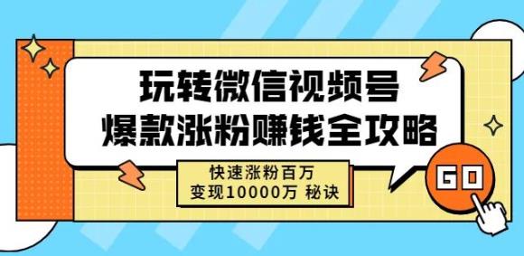 玩转微信视频号爆款涨粉赚钱全攻略，快速涨粉百万变现万元秘诀-匹左网