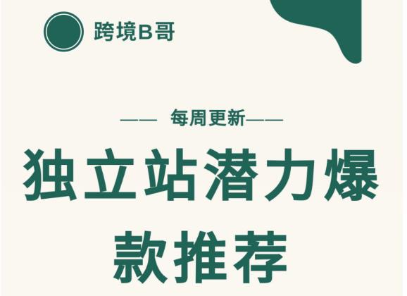 【跨境B哥】独立站潜力爆款选品推荐，测款出单率高达百分之80（每周更新）-匹左网