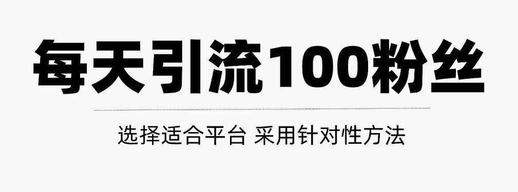 只需要做好这几步，就能让你每天轻松获得100+精准粉丝的方法！【视频教程】-匹左网