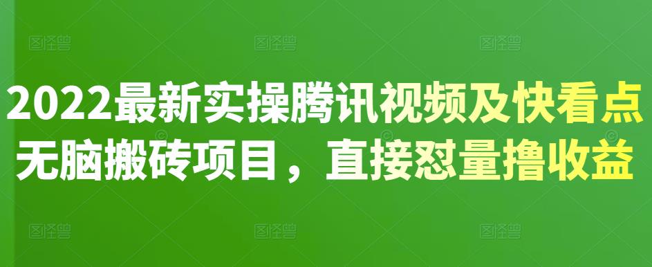 2022最新实操腾讯视频及快看点无脑搬砖项目，直接怼量撸收益-匹左网