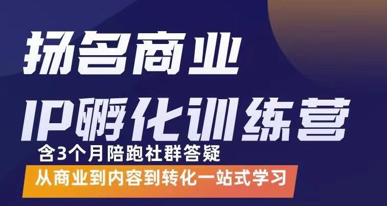 杨名商业IP孵化训练营，从商业到内容到转化一站式学 价值5980元-匹左网