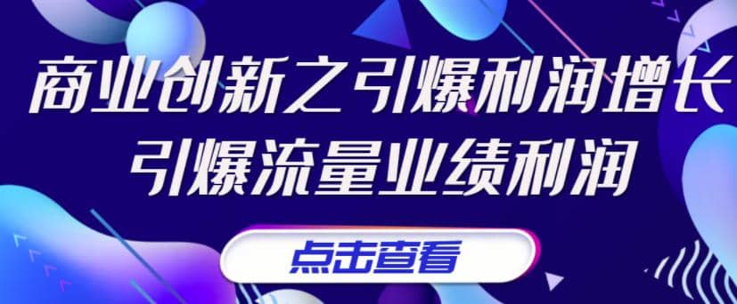 《商业创新之引爆利润增长》引爆流量业绩利润-匹左网