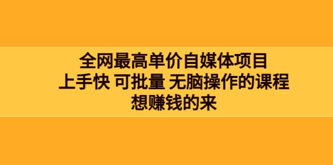 全网最单高价自媒体项目：上手快 可批量 无脑操作的课程，想赚钱的来-匹左网