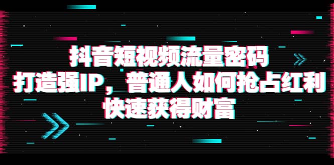 抖音短视频流量密码：打造强IP，普通人如何抢占红利，快速获得财富-匹左网