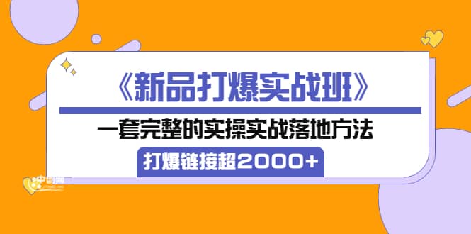 《新品打爆实战班》一套完整的实操实战落地方法，打爆链接超2000+（38节课)-匹左网