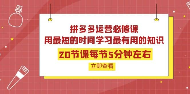 拼多多运营必修课：20节课每节5分钟左右，用最短的时间学习最有用的知识-匹左网