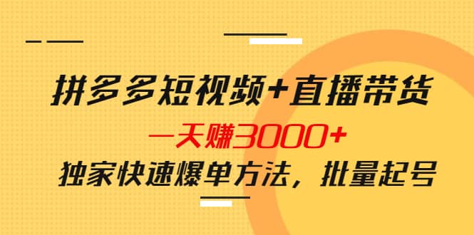 拼多多短视频+直播带货，一天赚3000+独家快速爆单方法，批量起号-匹左网