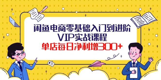 闲鱼电商零基础入门到进阶VIP实战课程-匹左网