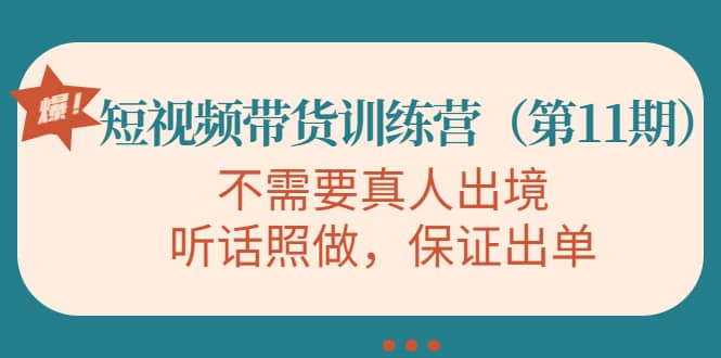 短视频带货训练营（第11期），不需要真人出境，听话照做，保证出单-匹左网