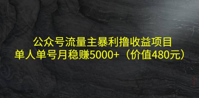 公众号流量主暴利撸收益项目，单人单号月稳赚5000+（价值480元）-匹左网