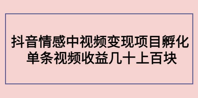 抖音情感中视频变现项目孵化-匹左网