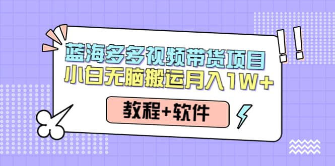 人人都能操作的蓝海多多视频带货项目 小白无脑搬运（教程+软件）-匹左网