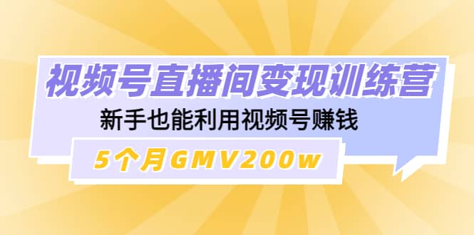 视频号直播间变现训练营-匹左网