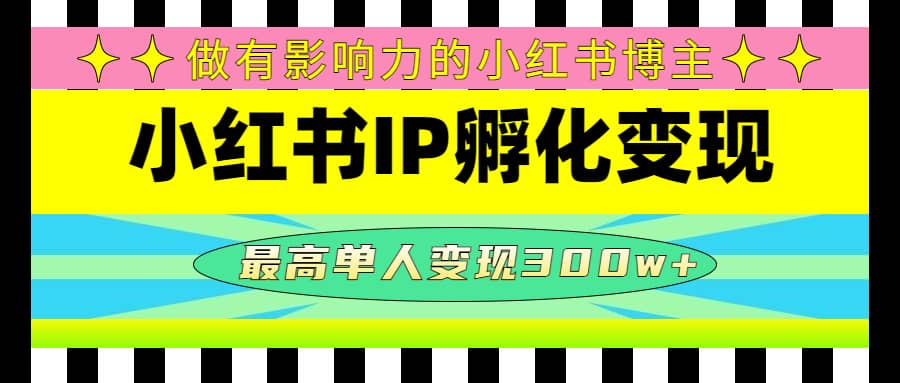 某收费培训-小红书IP孵化变现：做有影响力的小红书博主-匹左网