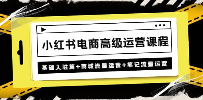 小红书电商高级运营课程：基础入驻篇+商城流量运营+笔记流量运营-匹左网