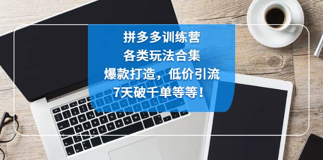 拼多多训练营：各玩法合集，爆款打造，低价引流，7天破千单等等-匹左网