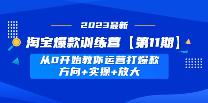 淘宝爆款训练营【第11期】 从0开始教你运营打爆款，方向+实操+放大-匹左网