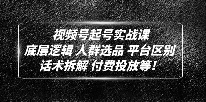 视频号起号实战课：底层逻辑 人群选品 平台区别 话术拆解 付费投放等-匹左网