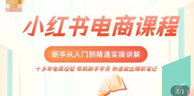 小红书电商新手入门到精通实操课，从入门到精通做爆款笔记，开店运营-匹左网