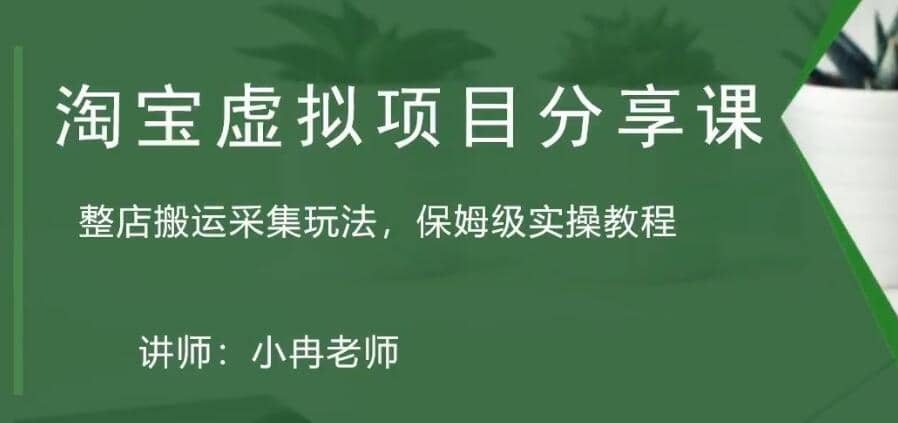 淘宝虚拟整店搬运采集玩法分享课：整店搬运采集玩法，保姆级实操教程-匹左网