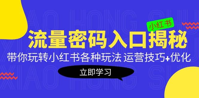 小红书流量密码入口揭秘：带你玩转小红书各种玩法 运营技巧+优化-匹左网