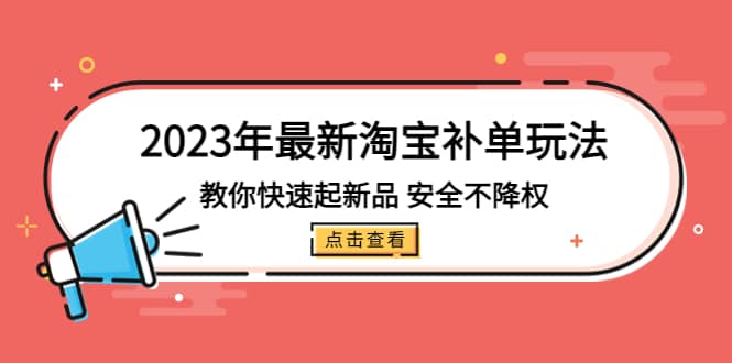 2023年最新淘宝补单玩法，教你快速起·新品，安全·不降权（18课时）-匹左网