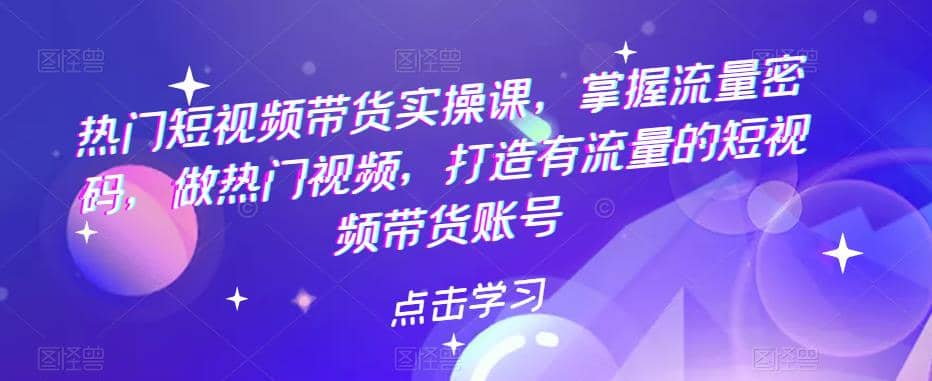 热门短视频带货实战 掌握流量密码 做热门视频 打造有流量的短视频带货账号-匹左网