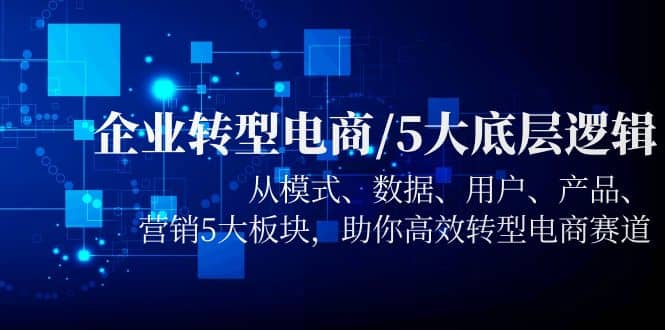 企业转型电商/5大底层逻辑，从模式 数据 用户 产品 营销5大板块，高效转型-匹左网