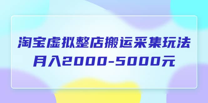 淘宝虚拟整店搬运采集玩法分享课：月入2000-5000元（5节课）-匹左网