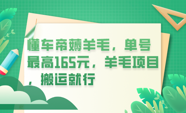 懂车帝薅羊毛，单号最高165元，羊毛项目，搬运就行-匹左网