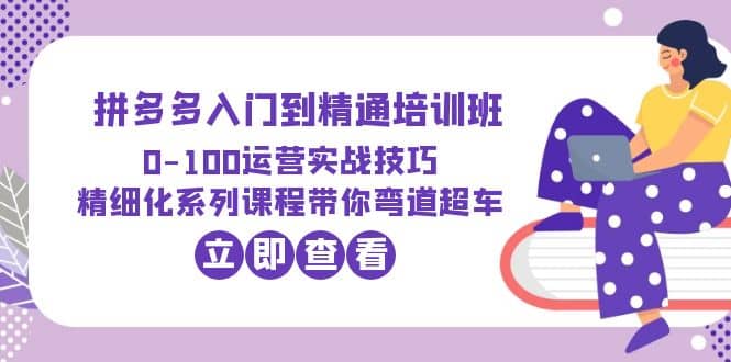 2023拼多多入门到精通培训班：0-100运营实战技巧 精细化系列课带你弯道超车-匹左网