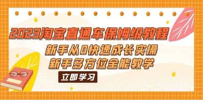 2023淘宝直通车保姆级教程：新手从0快速成长实操，新手多方位全能教学-匹左网