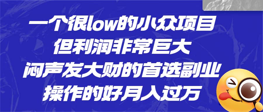 一个很low的小众项目，但利润非常巨大，闷声发大财的首选副业，月入过万-匹左网