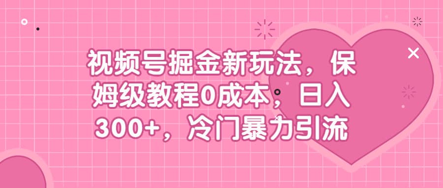 视频号掘金新玩法，保姆级教程0成本，日入300+，冷门暴力引流-匹左网