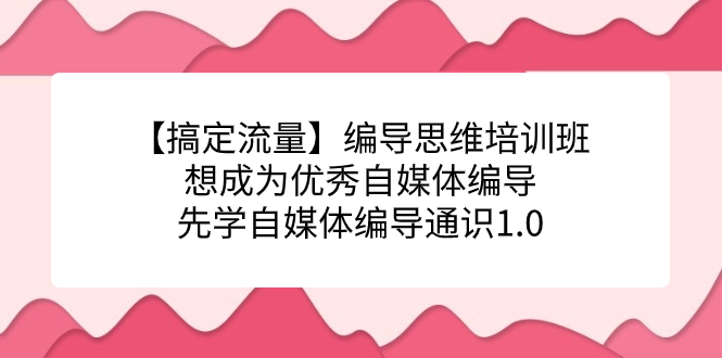 【搞定流量】编导思维培训班，想成为优秀自媒体编导先学自媒体编导通识1.0-匹左网