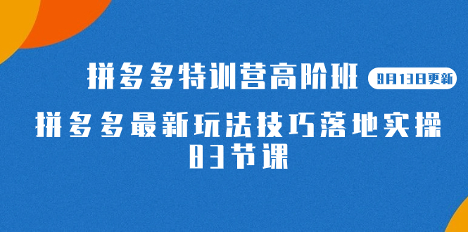 2023拼多多·特训营高阶班【9月13日更新】拼多多最新玩法技巧落地实操-83节-匹左网