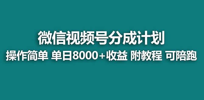 【蓝海项目】视频号分成计划，单天收益8000+，附玩法教程！可陪跑-匹左网