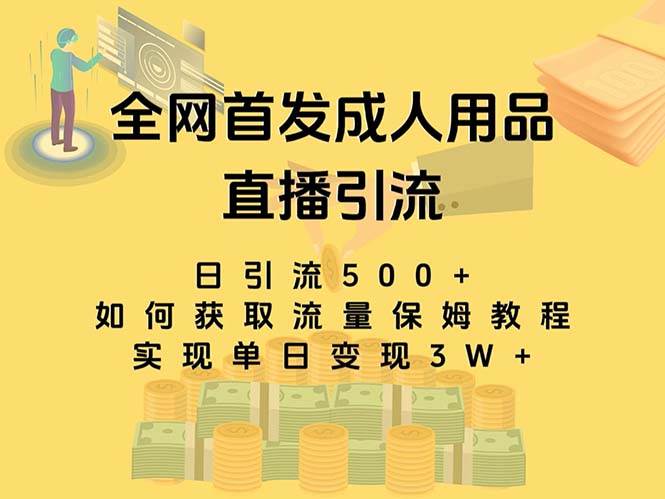 最新全网独创首发，成人用品直播引流获客暴力玩法，单日变现3w保姆级教程-匹左网