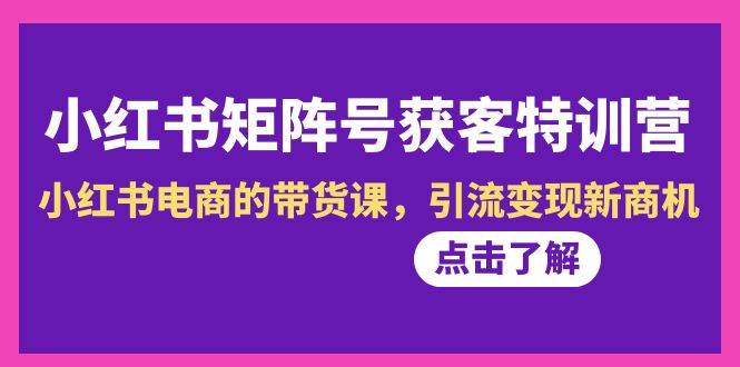 小红书-矩阵号获客特训营-第10期，小红书电商的带货课，引流变现新商机-匹左网