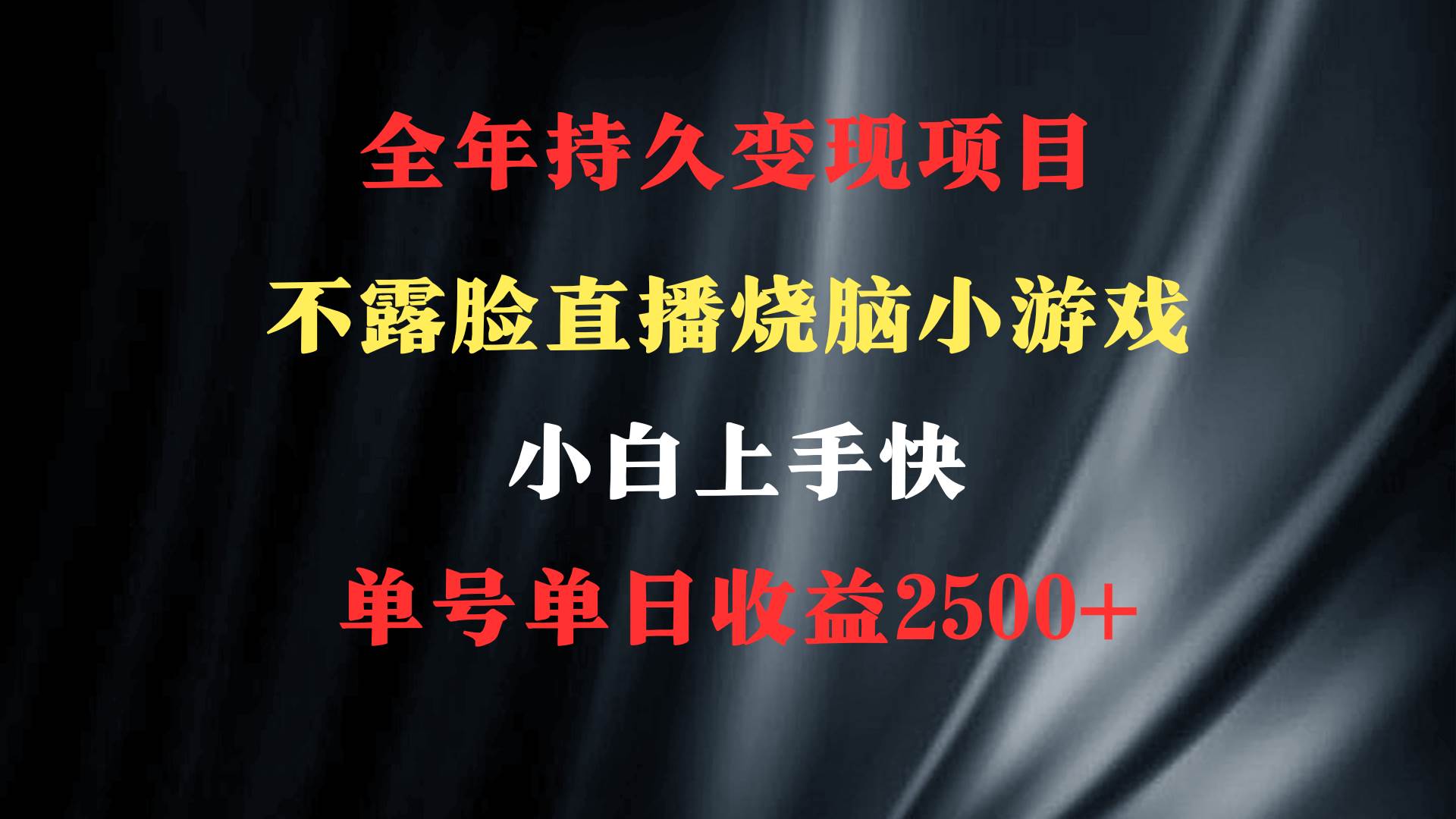 2024年 最优项目，烧脑小游戏不露脸直播  小白上手快 无门槛 一天收益2500+-匹左网