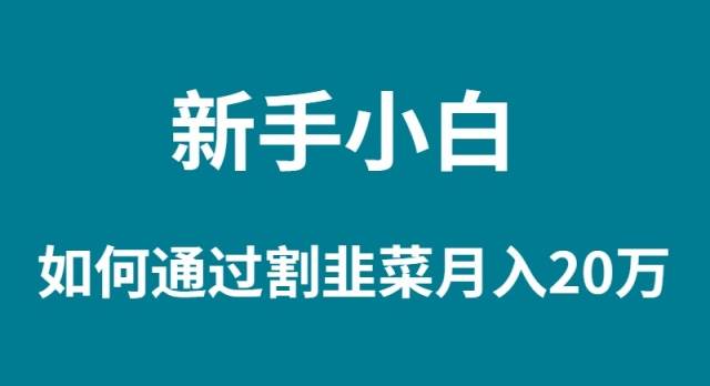 新手小白如何通过割韭菜月入 20W-匹左网