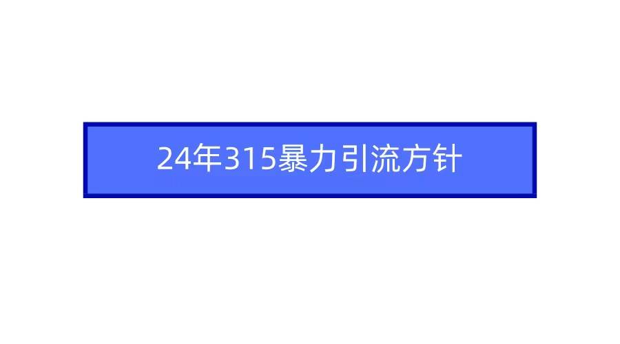 2024年315暴力引流方针-匹左网