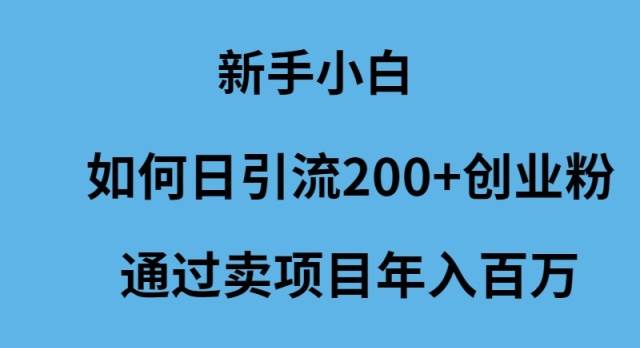 新手小白如何日引流200+创业粉通过卖项目年入百万-匹左网